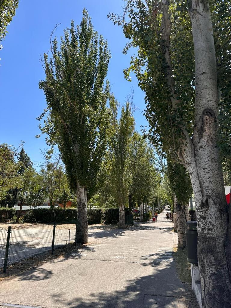 Bungalows Alpha Getafe Kültér fotó