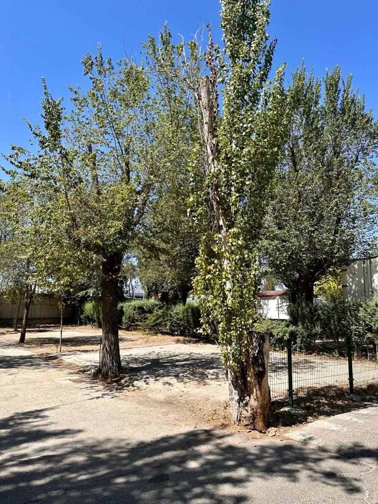Bungalows Alpha Getafe Kültér fotó