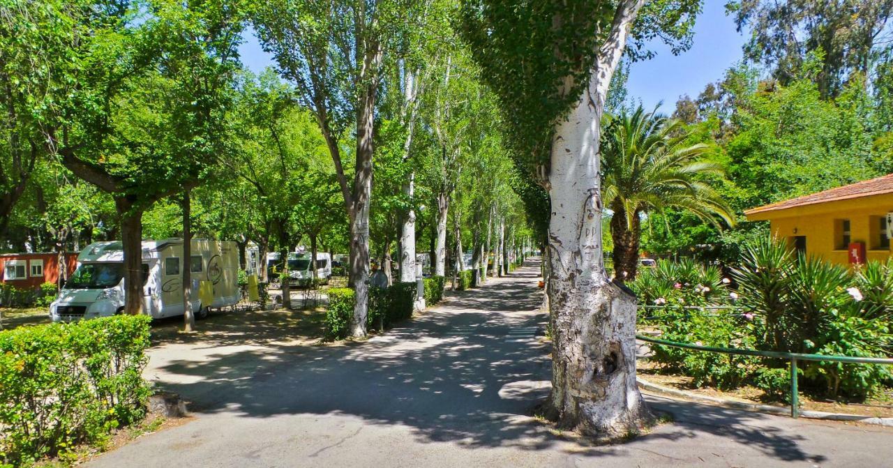 Bungalows Alpha Getafe Kültér fotó